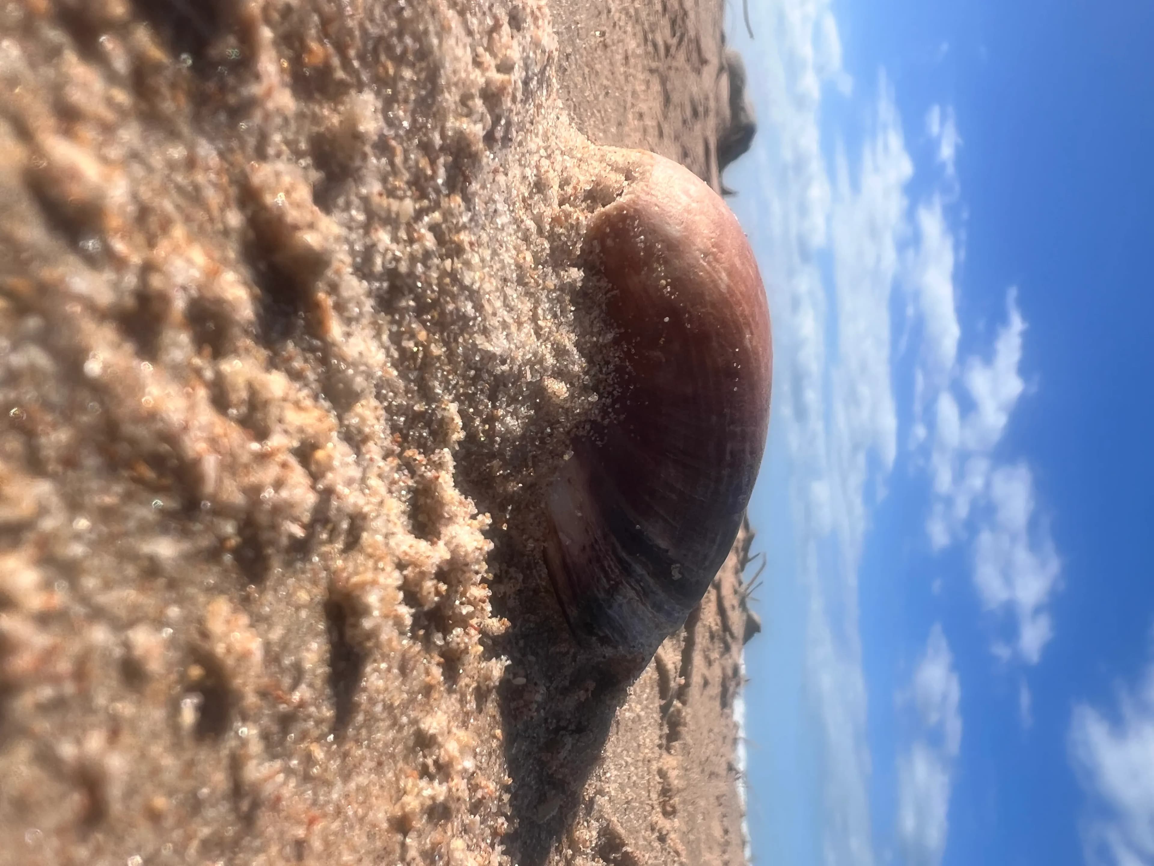 Kunst erleben und sich selbst finden im Workshop mit Andrea Stahl in der Schweiz