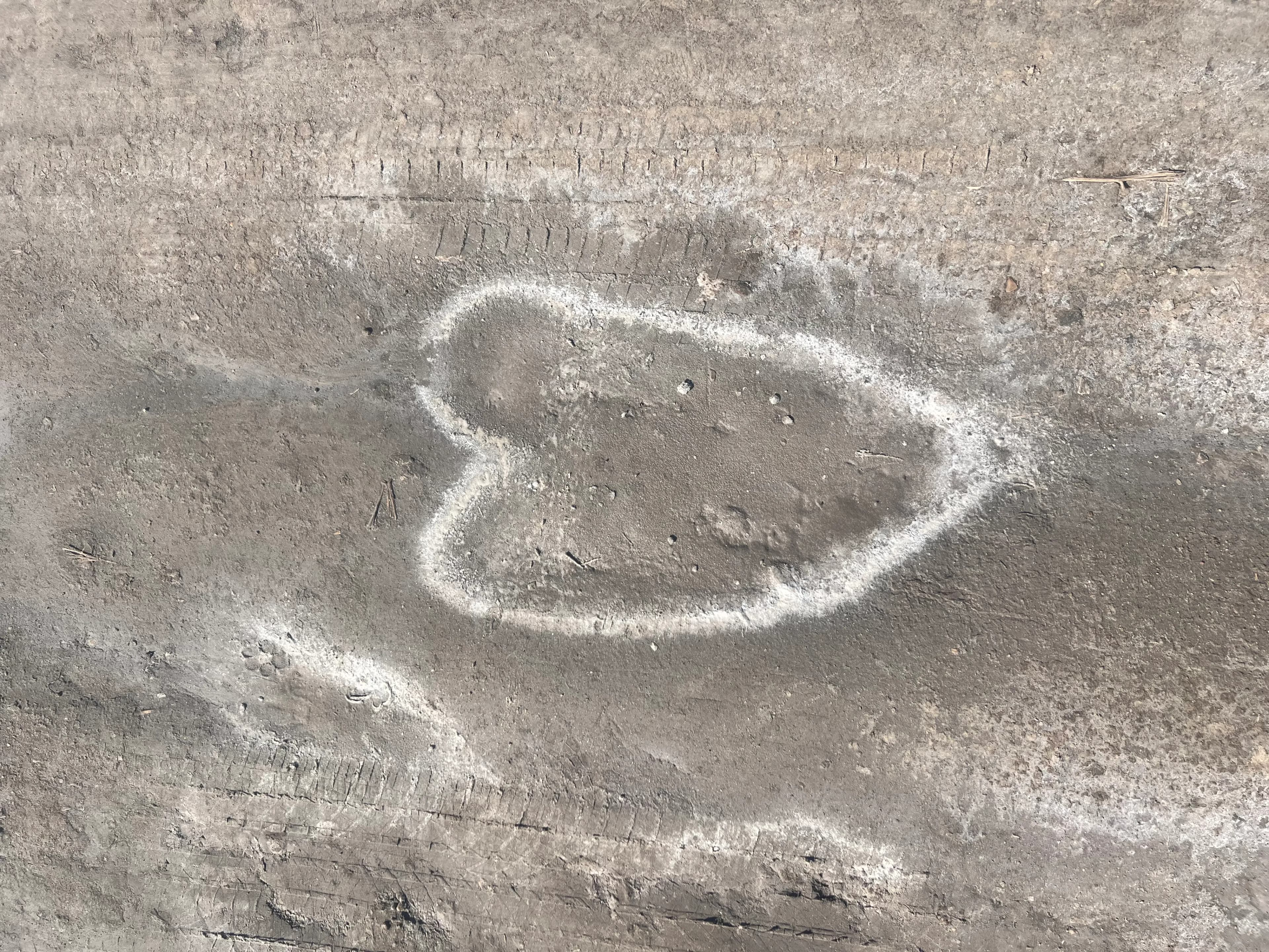 Kunst erleben und sich selbst finden im Workshop mit Andrea Stahl in der Schweiz